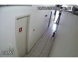 Instalação de Câmeras de Segurança com Monitoramento 24 horas no Planalto Paulista