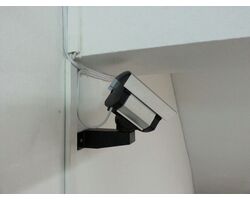 Instalação de Câmeras de Segurança com Gravação no Ibirapuera